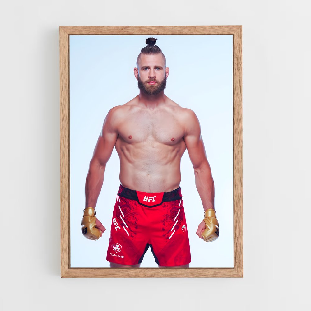 Poster Fight Night Prochazka – affiche MMA (vue 4)